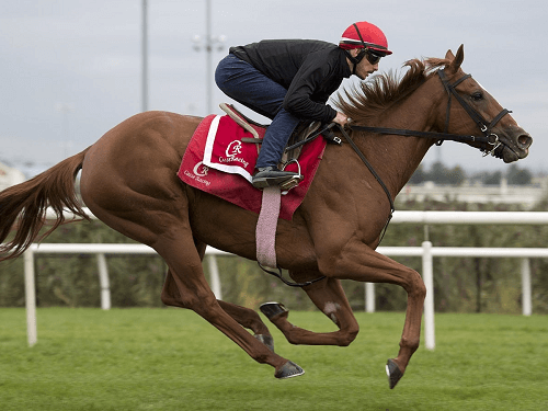 Woodbine Mile Bets